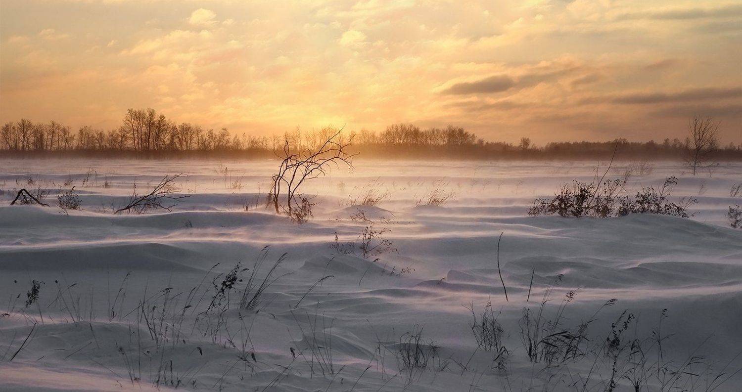 , Дмитрий Д.