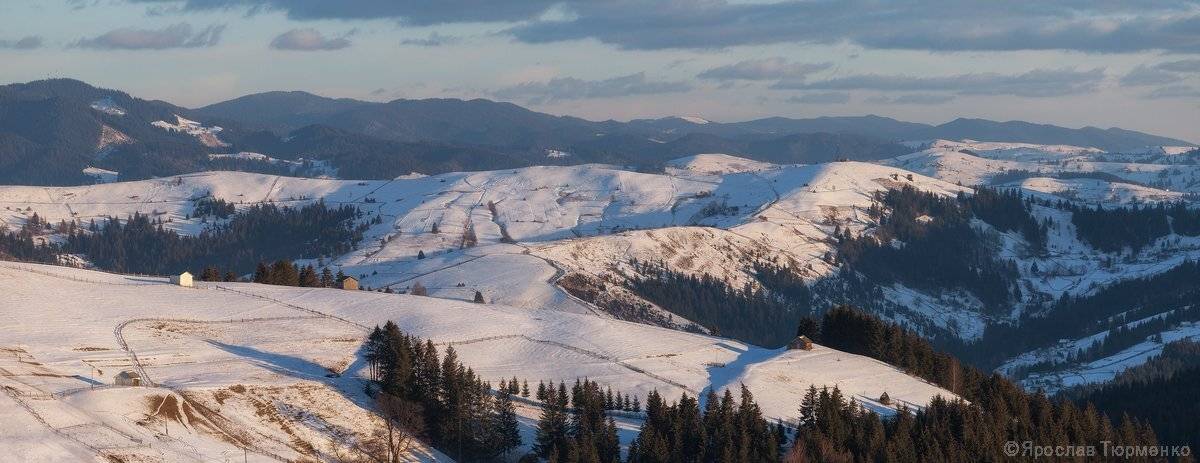 , Ярослав Тюрменко (Jaremi)