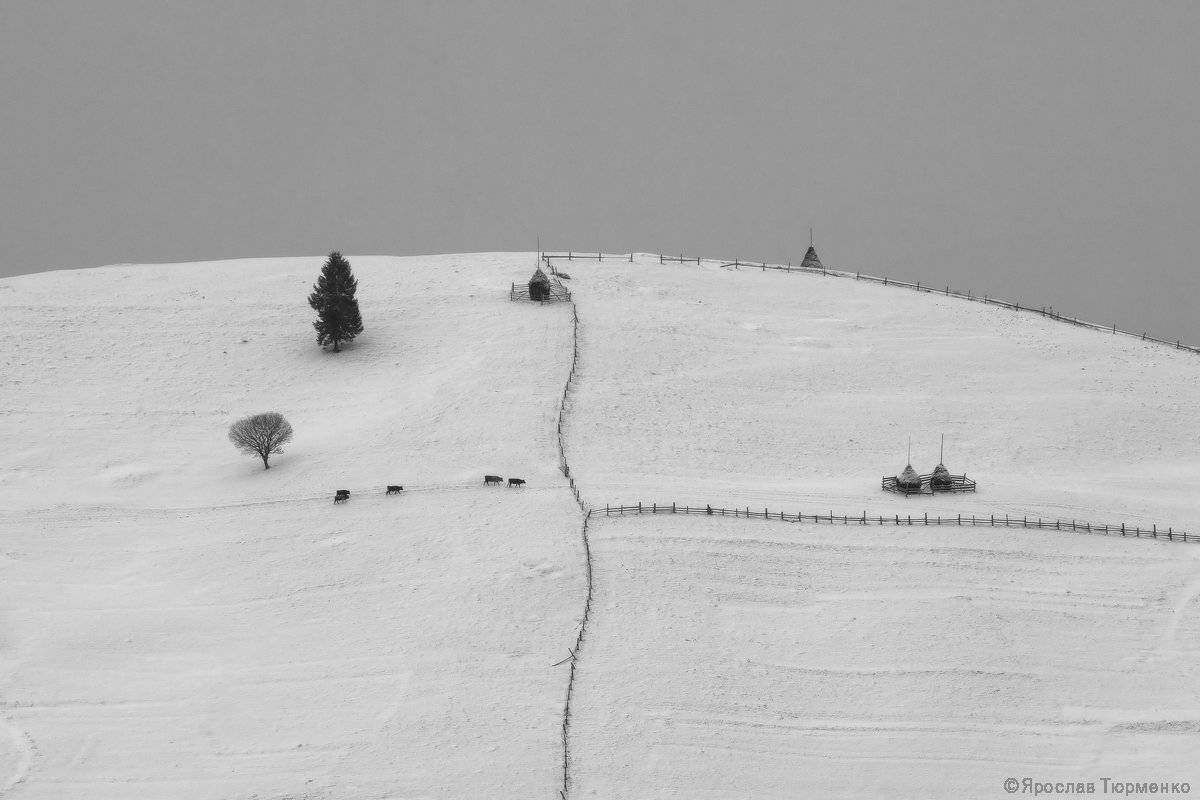 , Ярослав Тюрменко (Jaremi)