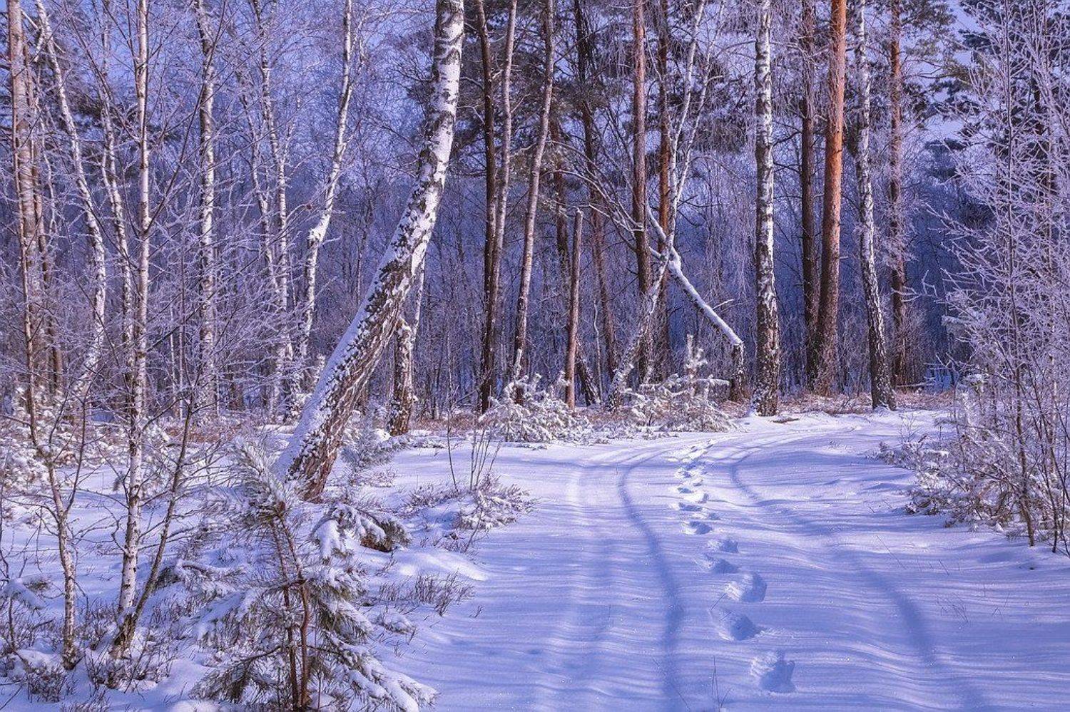 , Вячеслав Мищенко