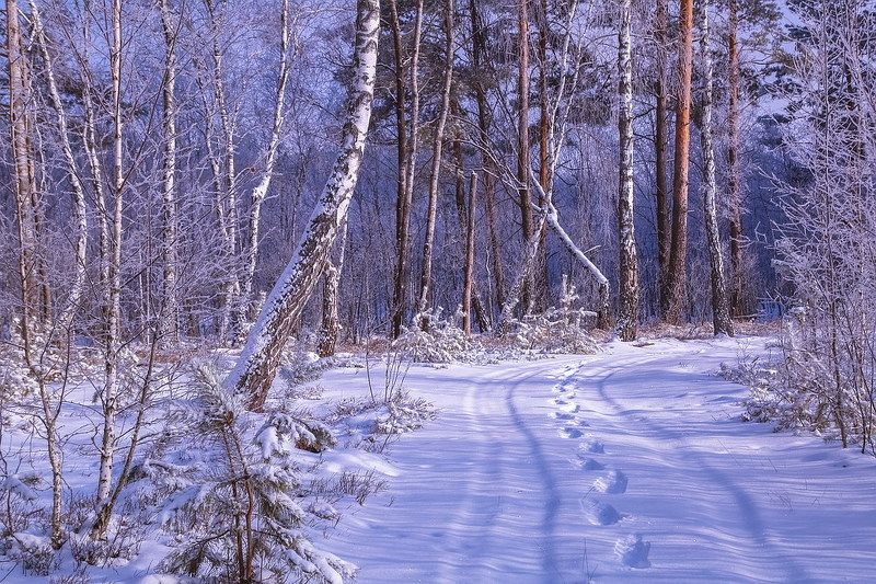 Добро пожаловать в сказку фото превью