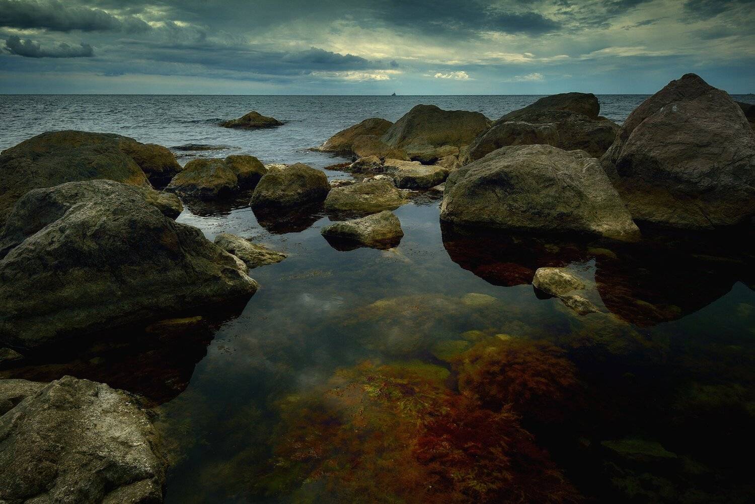 , Алексей Никонов