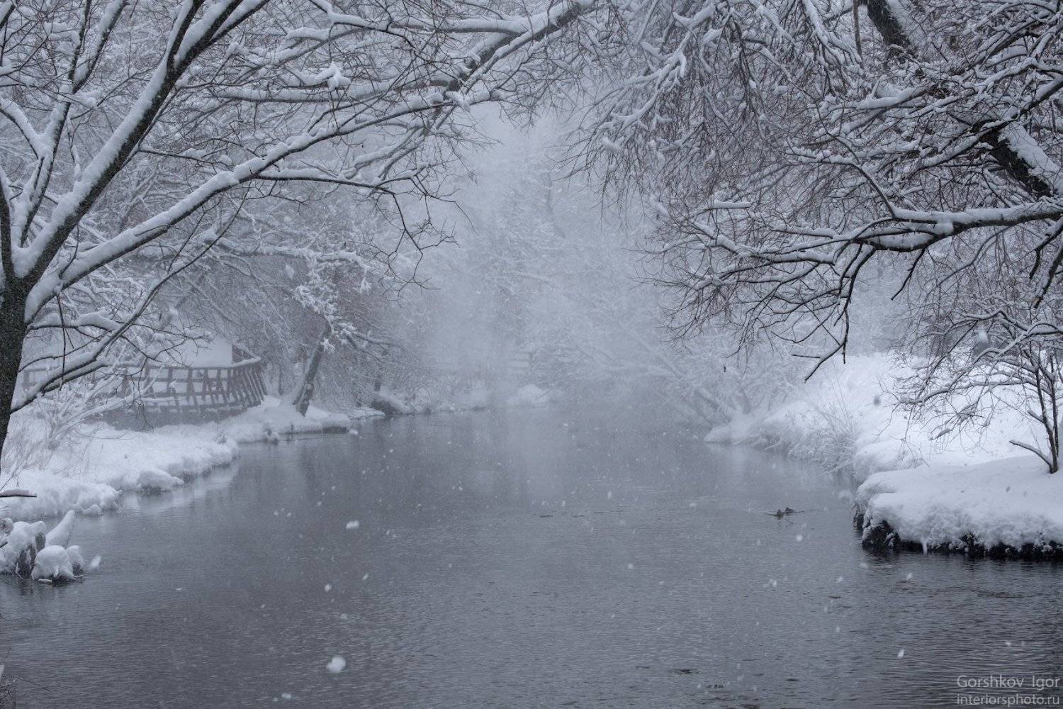 москва,парк,снег,снегопад,пыль,река,яуза,пейзаж,природа,зима,деревья,ветки,снежинки, Горшков Игорь