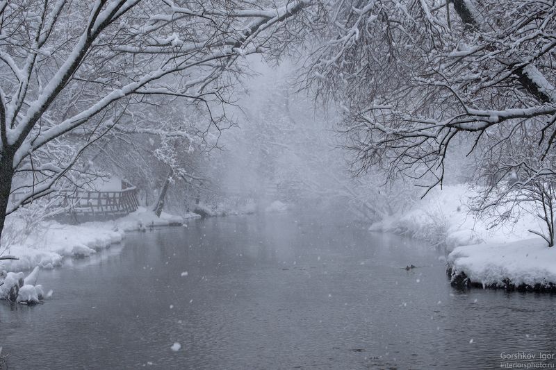 москва,парк,снег,снегопад,пыль,река,яуза,пейзаж,природа,зима,деревья,ветки,снежинки Cнежная пыль над рекой фото превью