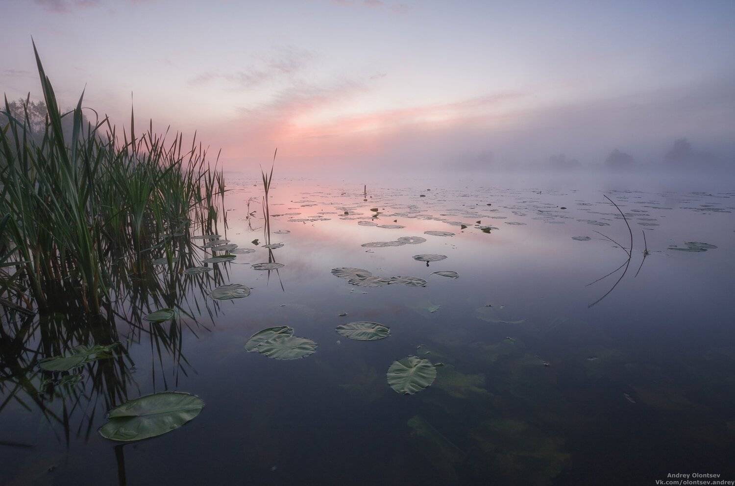 солнце, россия, рассвет, природа, подмосковье, погода, пейзажи, пейзаж, отражение, наукоград, красота, дубна, вода, весна, weather, water, spring, russia, reflection, naukograd, nature, moscow, landscape, dawn, canon dubna, beauty, Андрей Олонцев