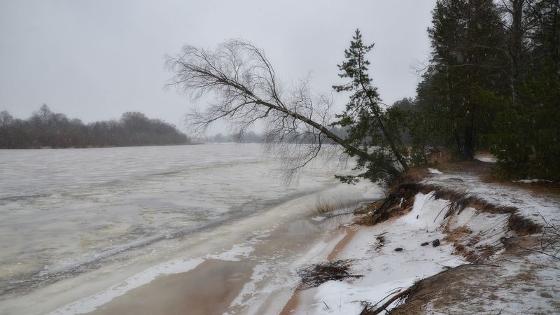 Такая хреновая зима... фото превью