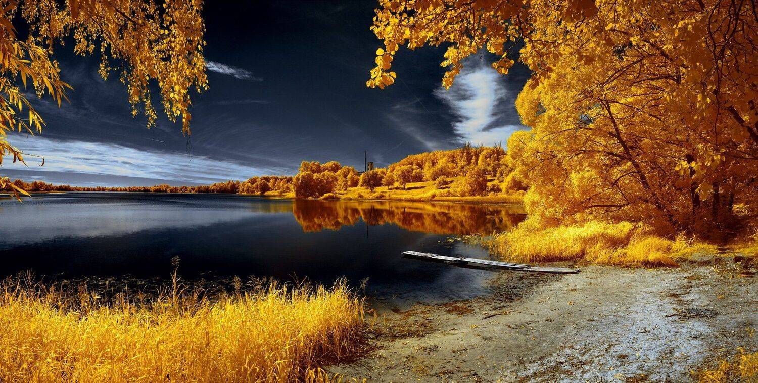 infrared,ик-фото,инфракрасное фото,инфракрасная фотография,пейзаж,природа,беларусь,лето, Sixten ( Сергей )