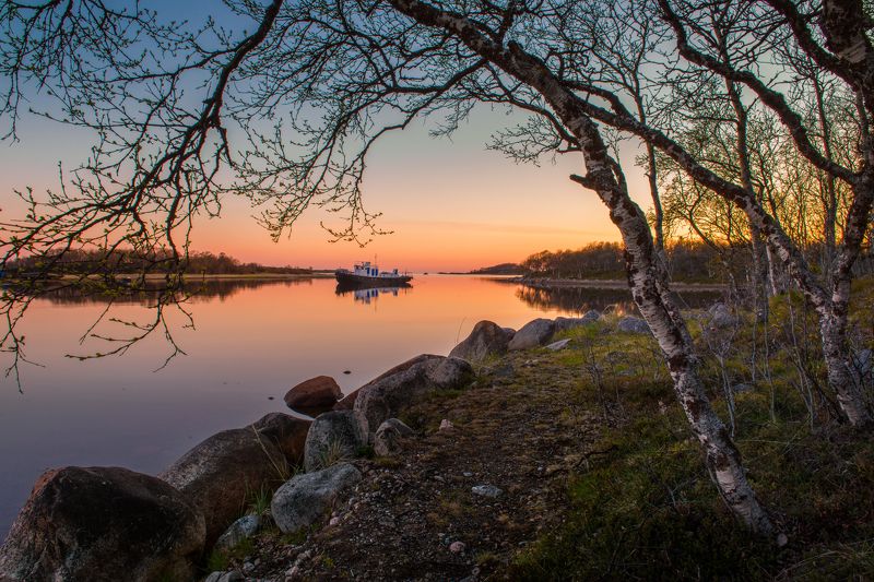 Соловки Белые ночи на Соловках  фото превью