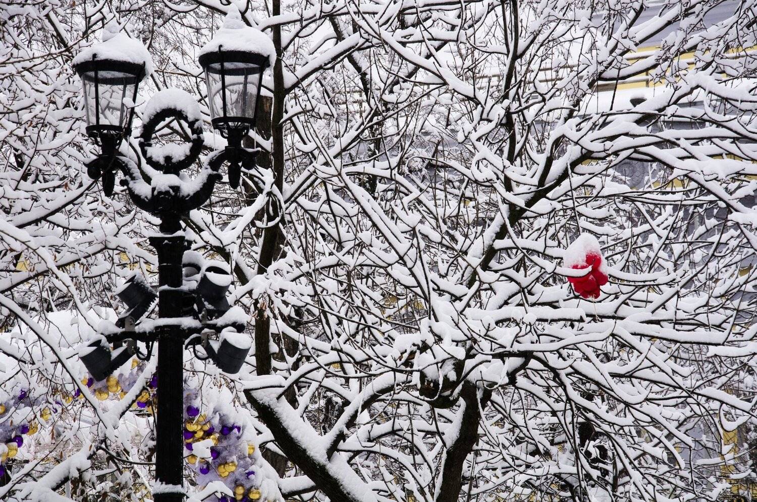 Москва, снег, фонарь, Тверской бульвар, зима, город, Svetlana Khromova