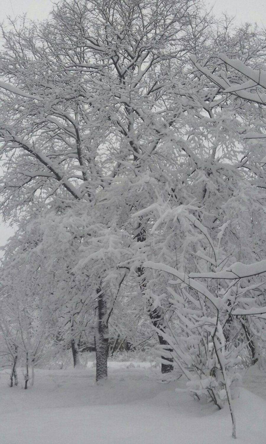 , Юрий Клюшкин