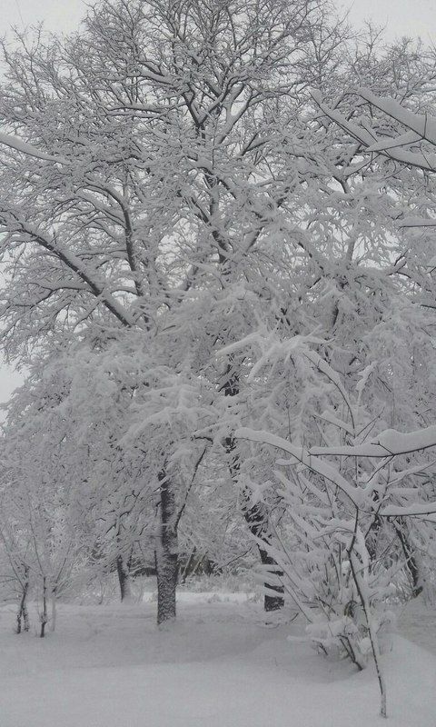 наконец то зима! в Москве фото превью