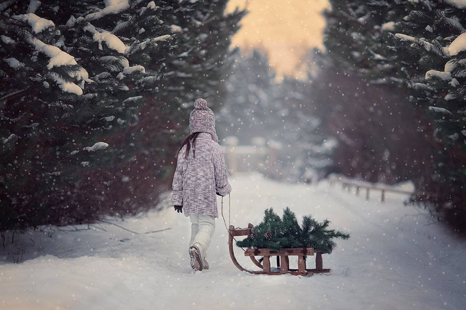 , Александра Черемохина