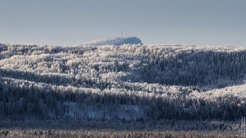 гора Полюд выглядывает из-за холма