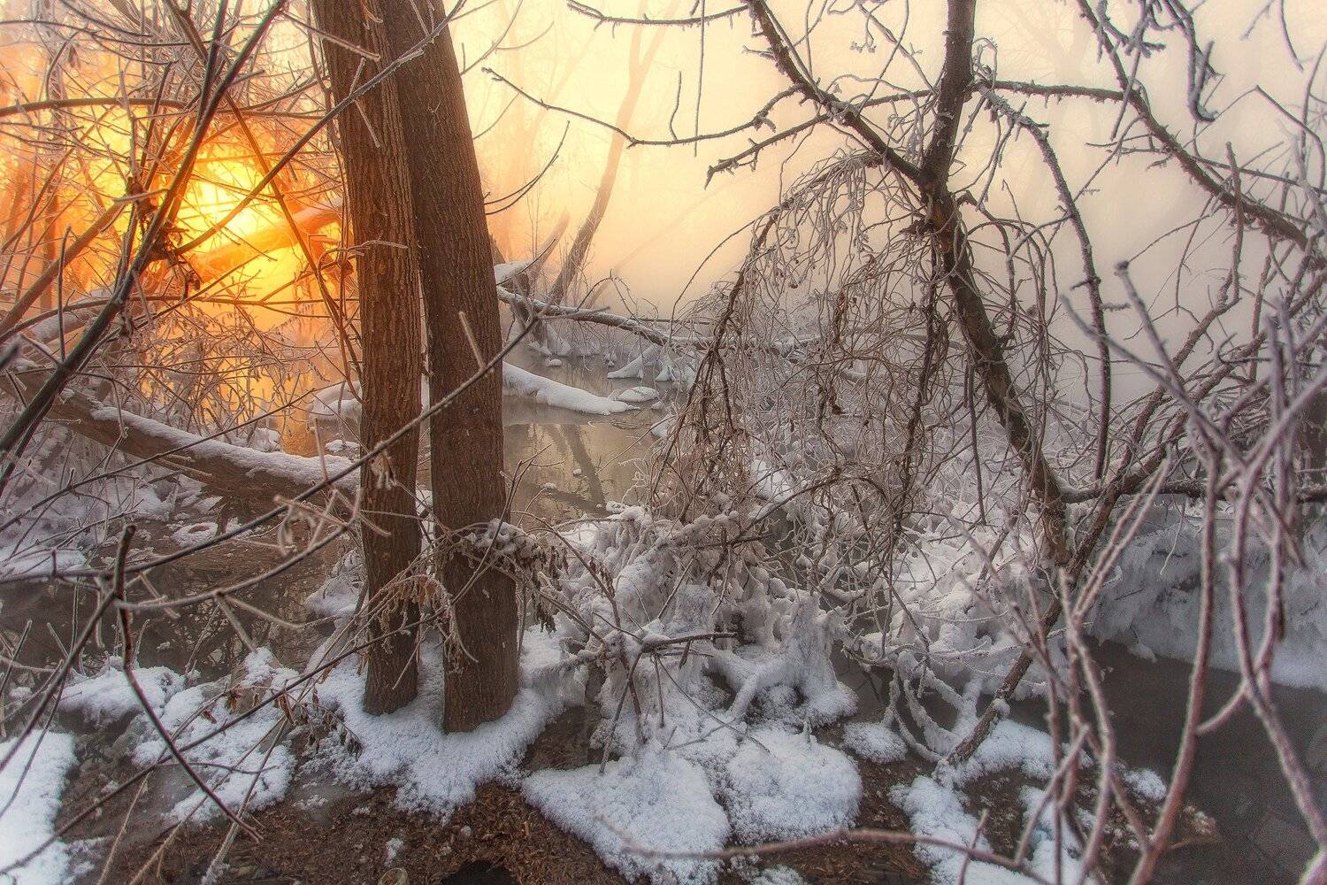 , Павел Сагайдак