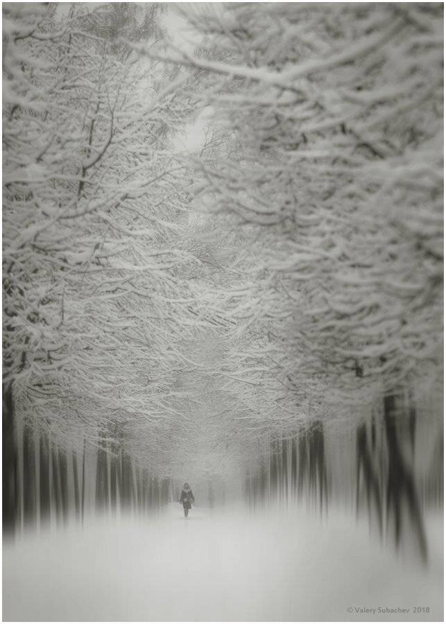 , Валерий Субачев