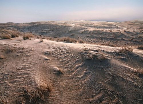 White dunes silence...