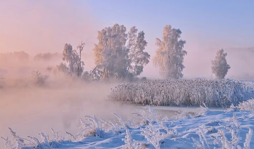 Зимнее утро на Свислочи