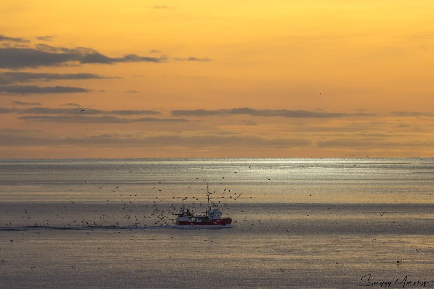 lofotens norway fishing sunset, Sergey Merphy