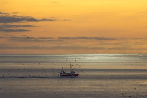 Lonely fisherman's boat & sunset. Lofotens. Norway.