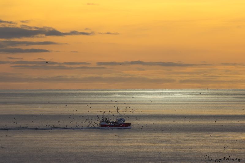 lofotens norway fishing sunset Lonely fisherman\'s boat & sunset. Lofotens. Norway. фото превью