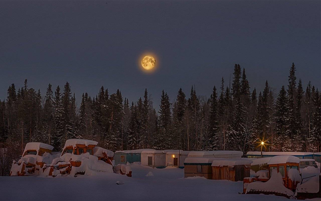 север,природа,ночь,лес,зима,краски,печора,коми,красота́ ,снег,north,nature,forest,winter,paint,pechora,komi republic,beauty ,snow, Игорь Триер