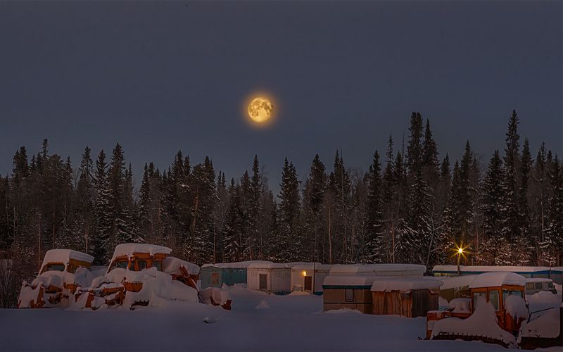 север,природа,ночь,лес,зима,краски,печора,коми,красота́ ,снег,north,nature,forest,winter,paint,pechora,komi republic,beauty ,snow За пол часа до рассвета! фото превью