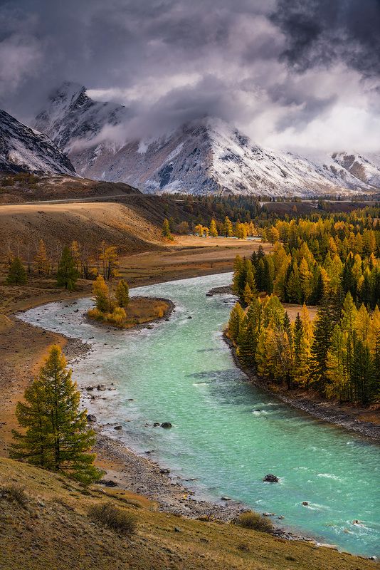 чуя, алтай, сибирь, осень Чуя фото превью
