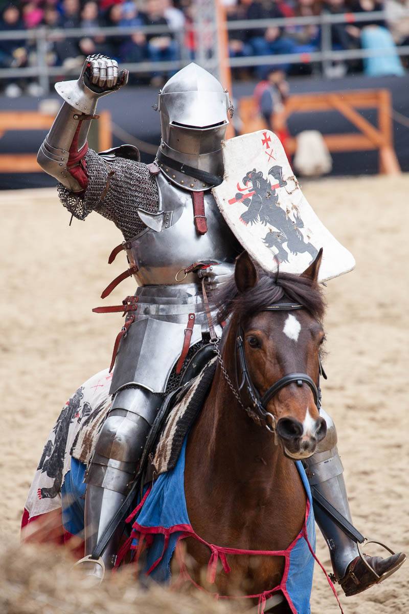 Турнир Святого Георгия, рыцарь, лошадь, турнир, победитель, всадник, доспехи, щит, Сергей Козинцев