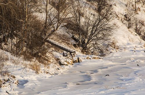 Берег реки Онега.Россия