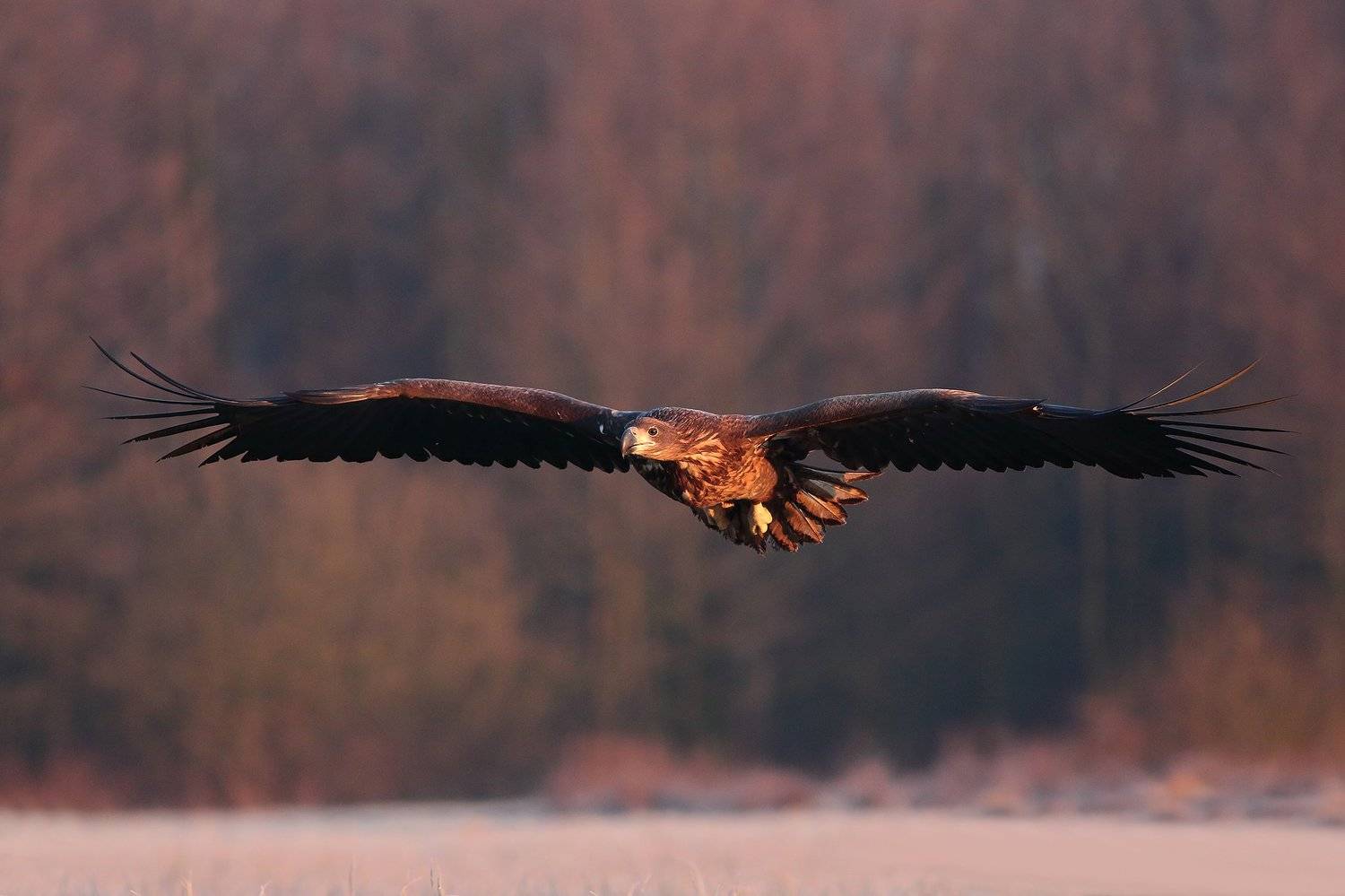 , Łukasz Sok&oacute;ł