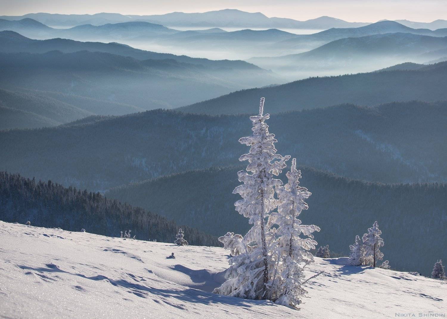 Ергаки, Никита Шиндин