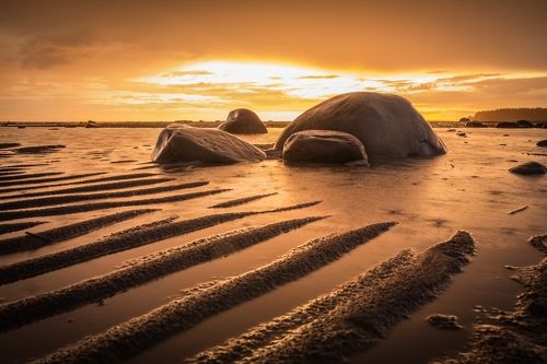 Камни Белого моря