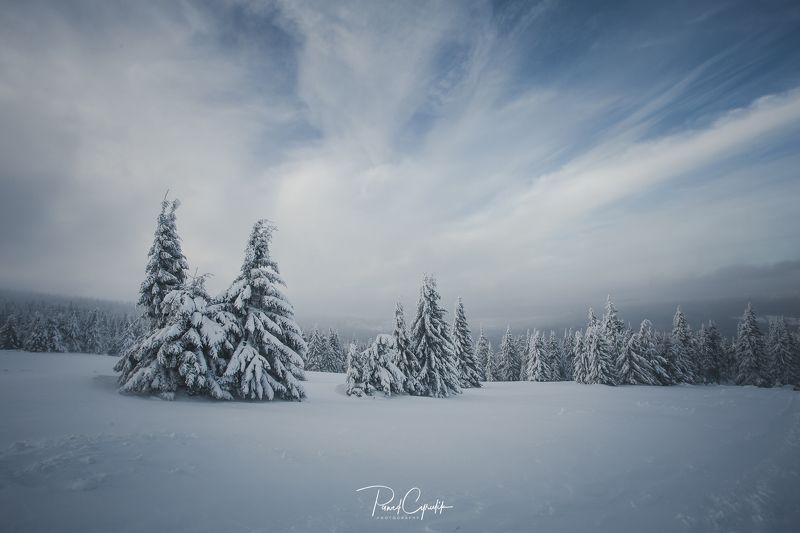 Polska, poland, snow, winter Karkonosze Mountains фото превью