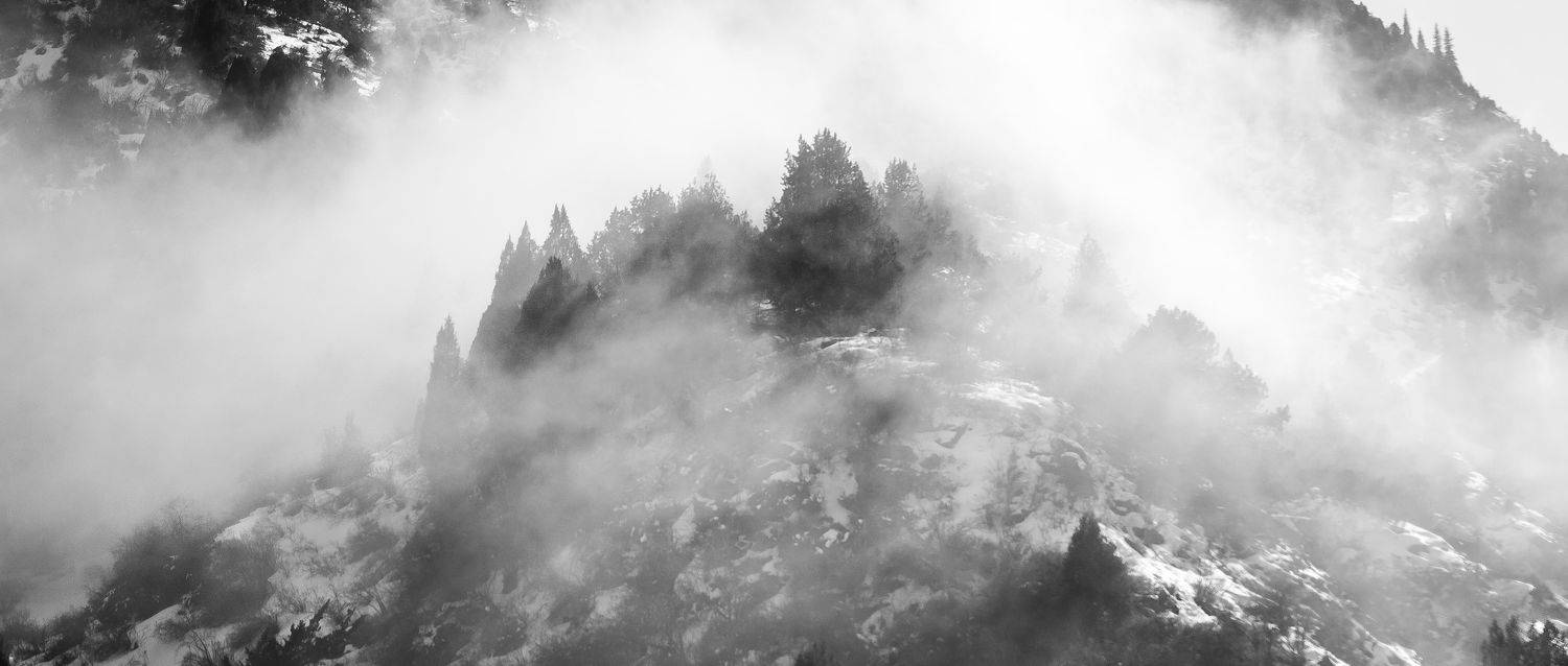 горы, облака, деревья, туман, природа, пейзаж, скалы, Василий Шумкин