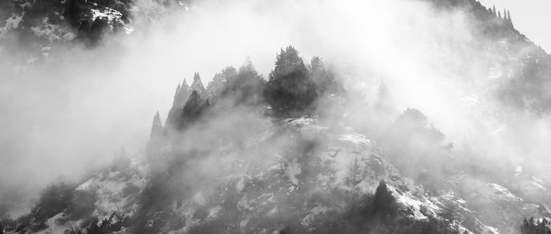 горы, облака, деревья, туман, природа, пейзаж, скалы Облака фото превью