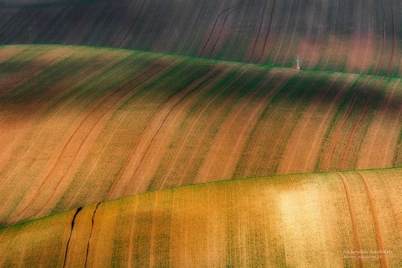 sztruks фото превью