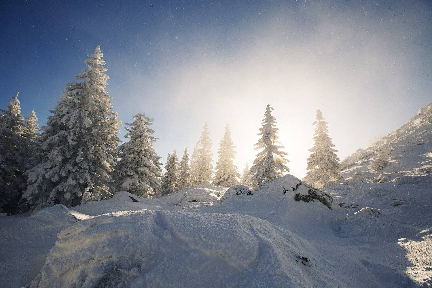 Таганай, утро, солнце, Откликной, деревья, тайга, небо, солнце, туризм, пейзаж, Златоуст, Владимир