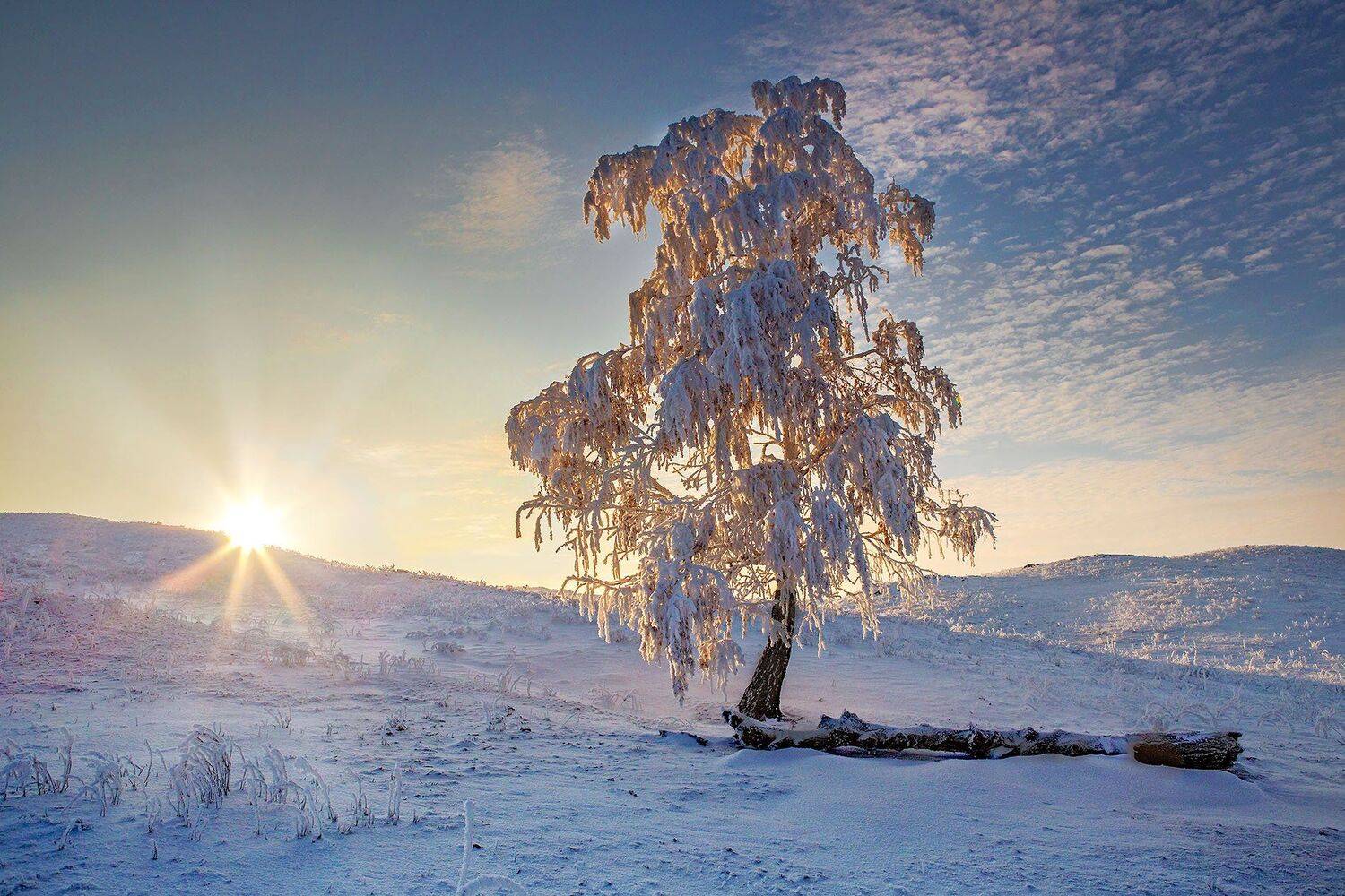 орск оренбургская обл. качурин новотроицк южный урал, Качурин Алексей