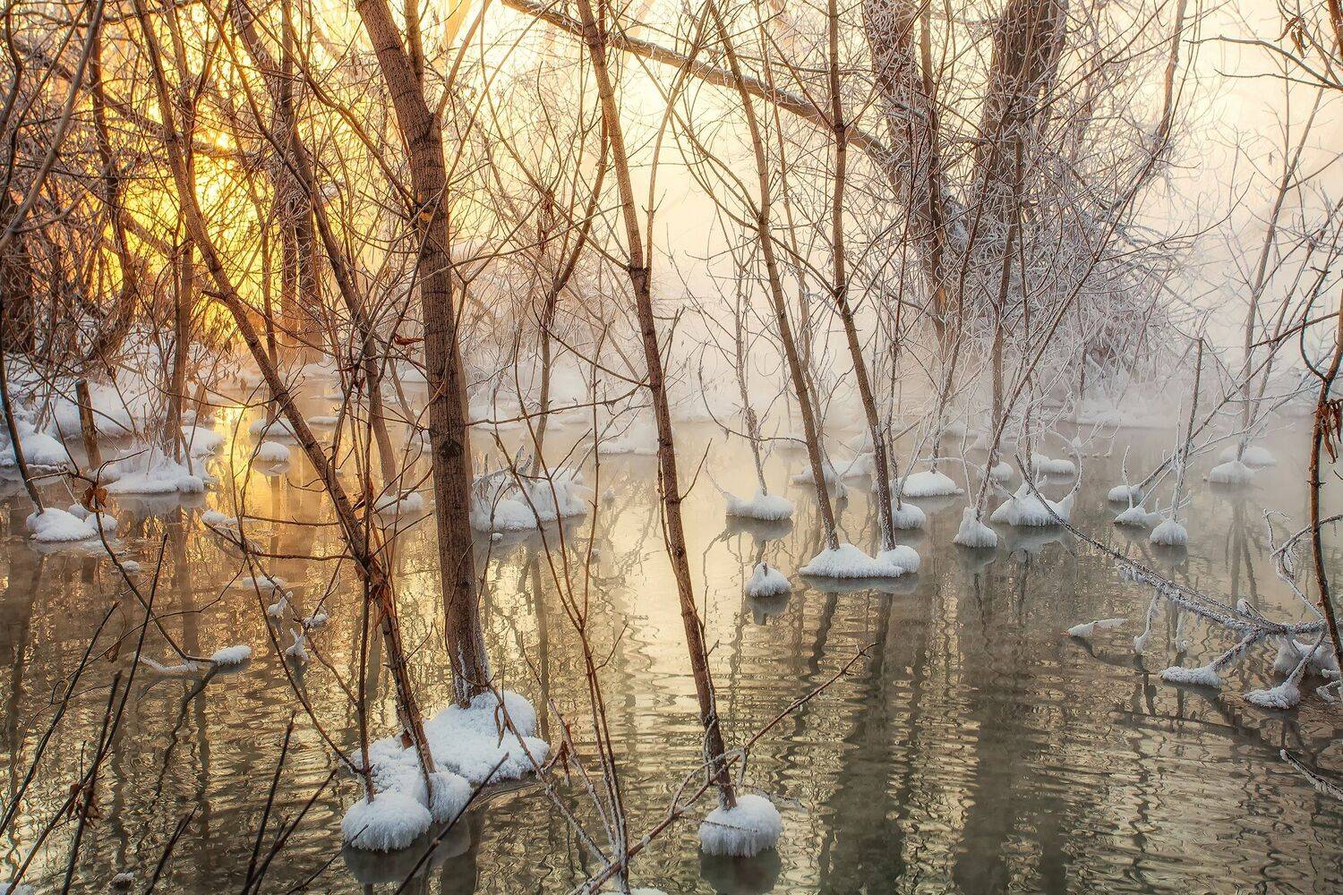 , Павел Сагайдак