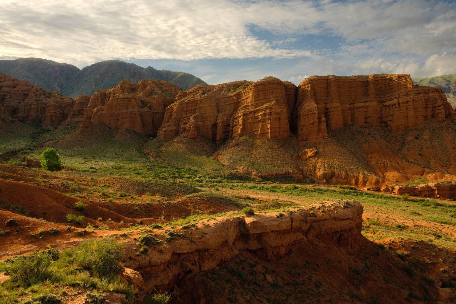 киргизия, кыргызстан, азия, горы, каньон, скалы, пейзаж, весна, ущелье, Оборотов Алексей