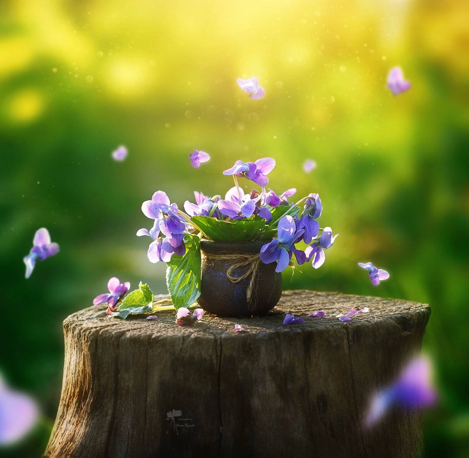 , Инна Сухова