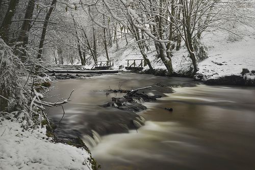 Tanew - Szumy - Poland