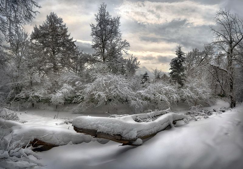 #зима, #снег, #зимнийпейзаж, #деревьявснегу, #зимниесумерки, #пейзаж Мысли о зиме... фото превью