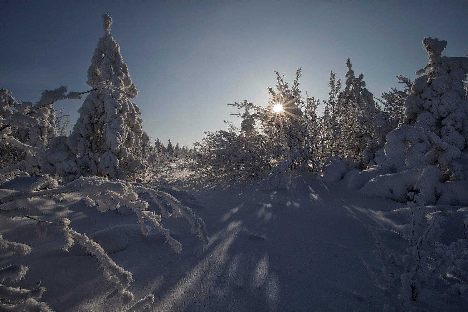 якутия, нерюнгри, зима, февраль, Евгения Левина
