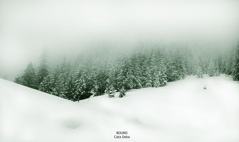 Bound фото превью