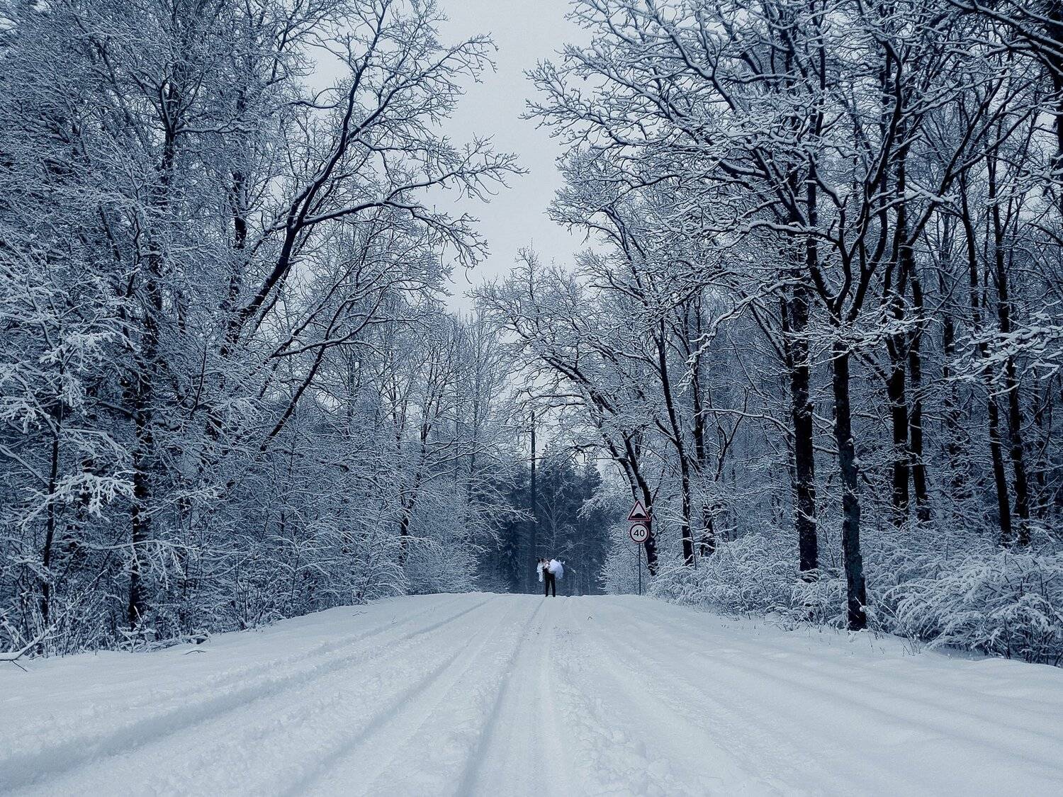 свадьба, свадебное, молодожены, прогулка, лес, деревья, зима, снег, мороз, помолейко, pomoleyko, forest, winter, cold, Павел Помолейко