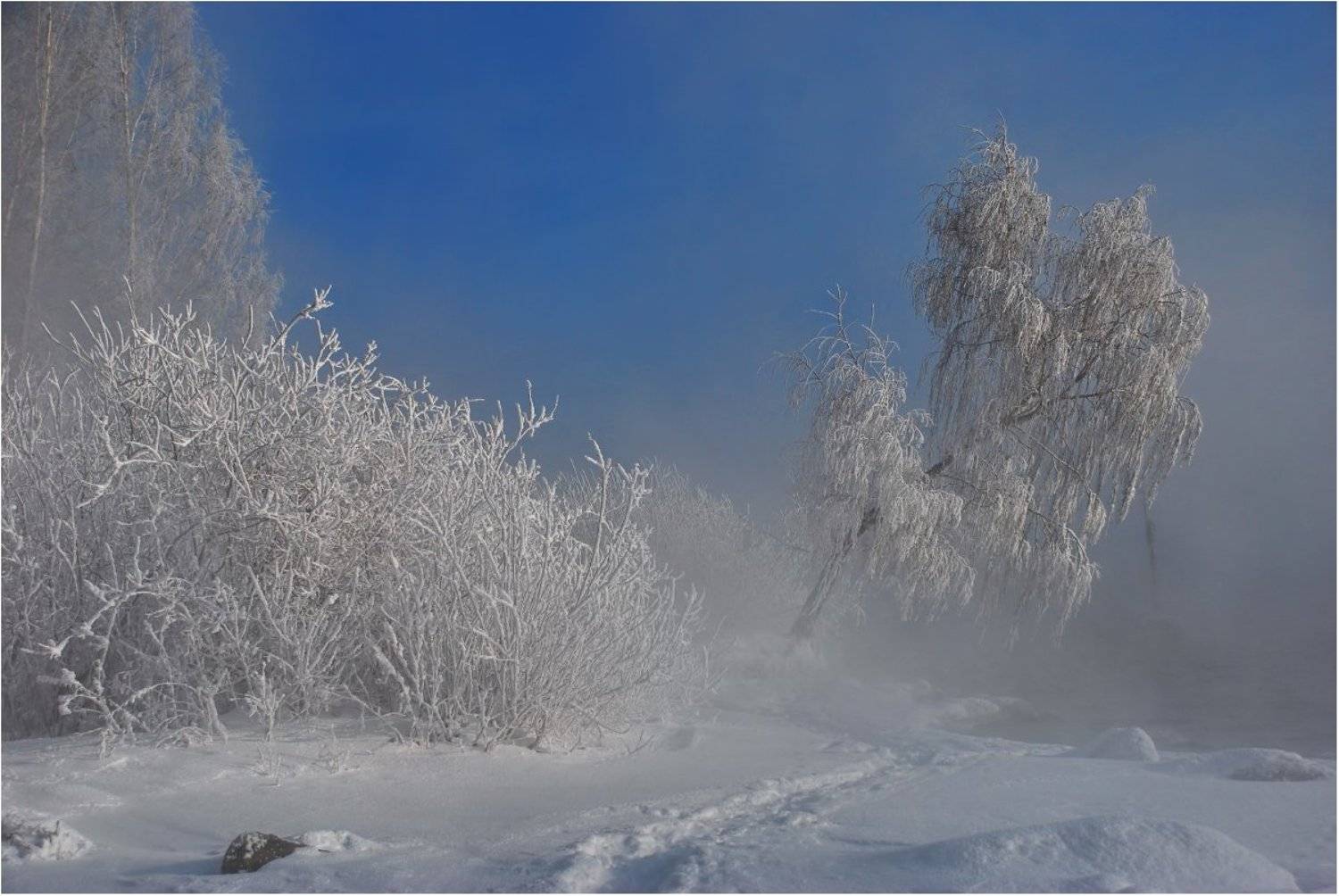 , Кондратьев Алексей