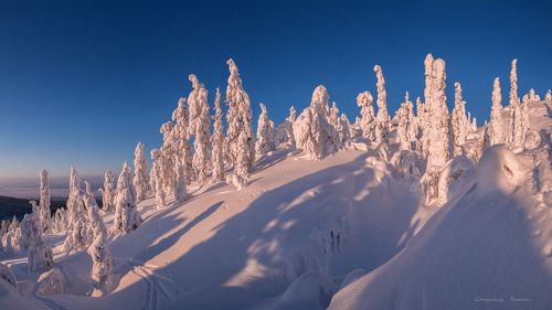 Сливки по Кандалакшски