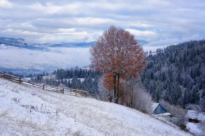 осень, горы, снег Ясиня. фото превью