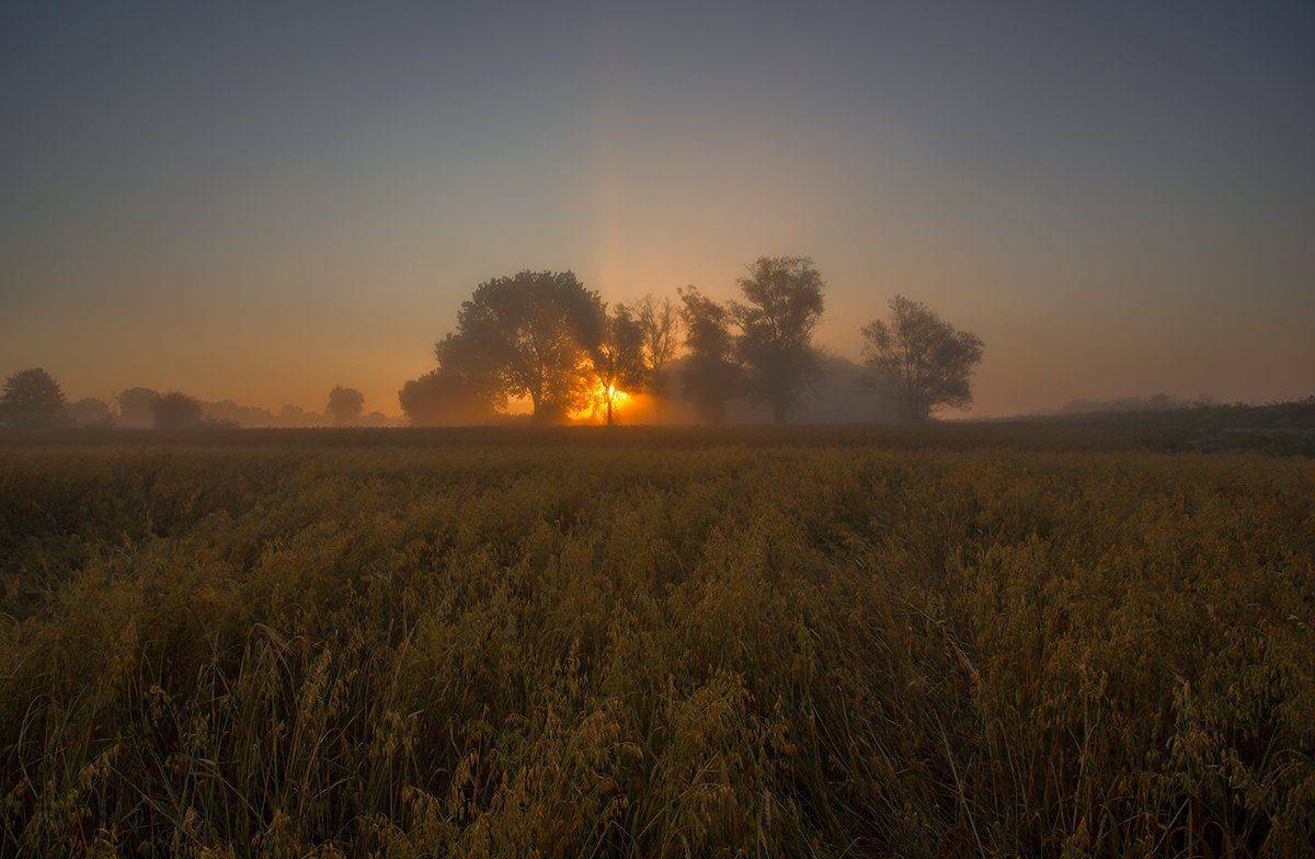 , Pawel Plucinski